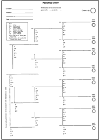 Beginning Pedigree Charts