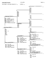 pedigree four generation