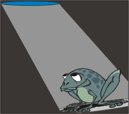 frogs